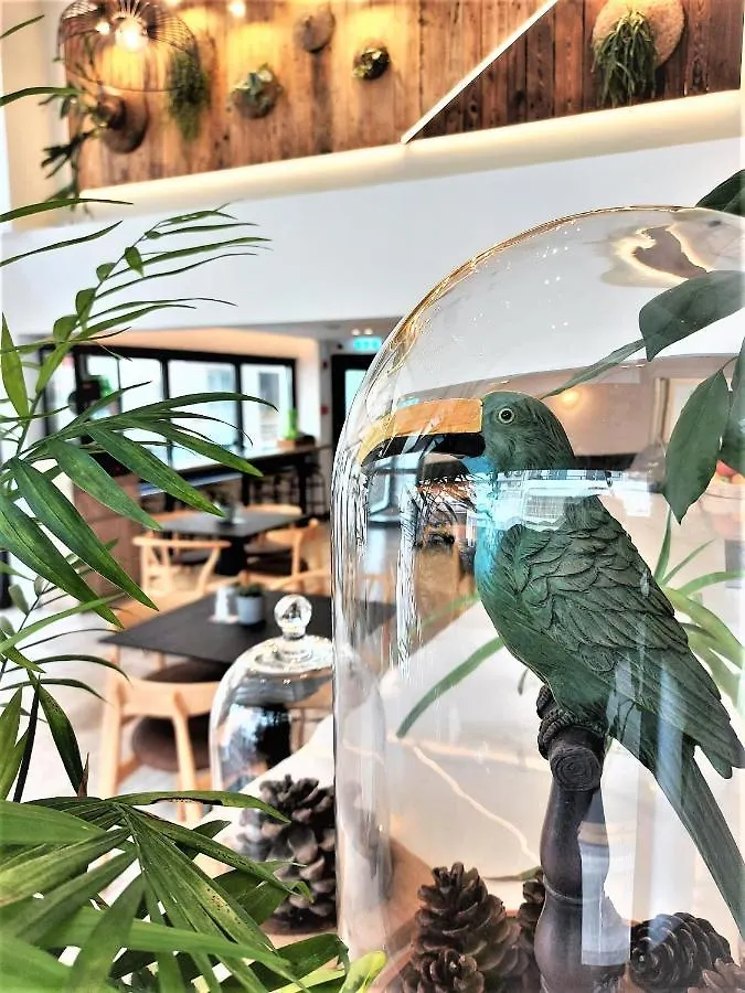 ***  לרנקה Roseum Boutique Hotel קפריסין